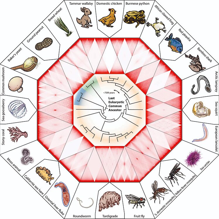 Biology essay topics image